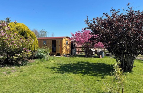 Welney Cottage | Hazel