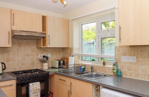 Barnstaple Cottage | Hedgehogs