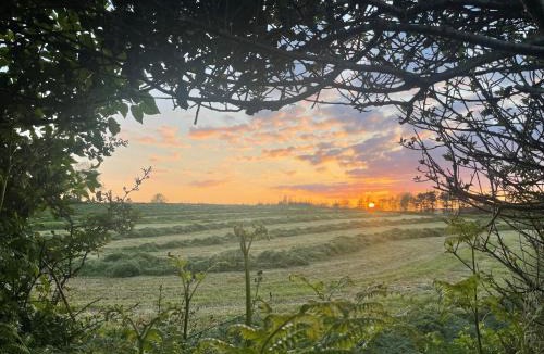 Liskeard House | Hillview Haven