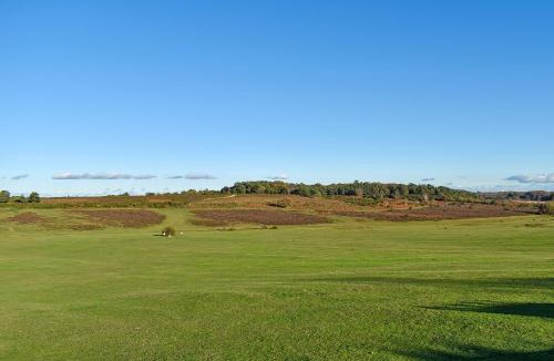 New Forest District House | Jasmine Cottage