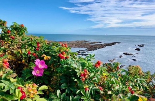 Cullercoats Apartment | King's Seafront Place