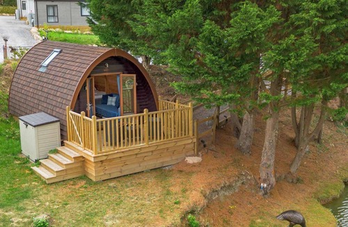 Cheriton Bishop Cabin | Lakeside Haven - Fishing+Heated Pool 500yrds away