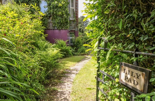 Okehampton Cottage | LILY PAD, romantic, character holiday cottage in Okehampton