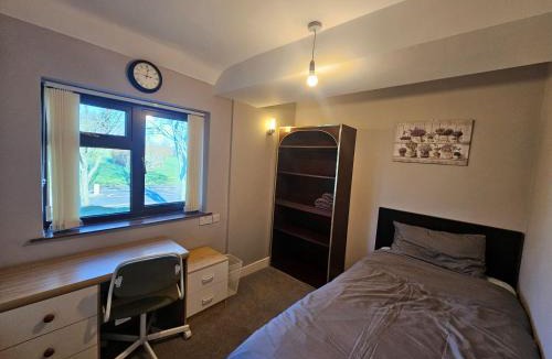 Selly Oak House | Little puppy
