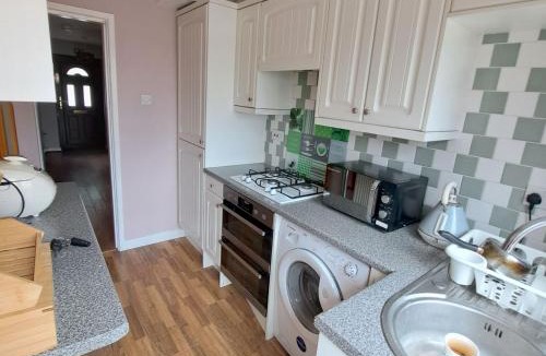 Selly Oak House | Little puppy
