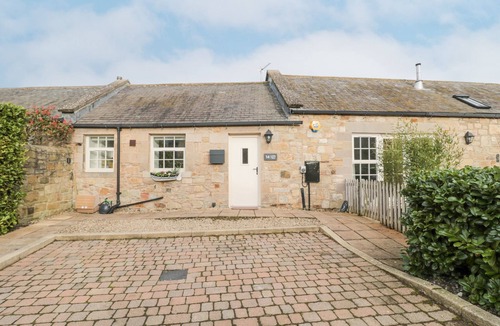 North Sunderland Cottage | Little Tern