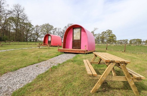 Saint Asaph House | Llannerch Glamping Pod 3, St Asaph