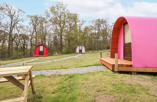 Saint Asaph House | Llannerch Glamping Pod 3, St Asaph