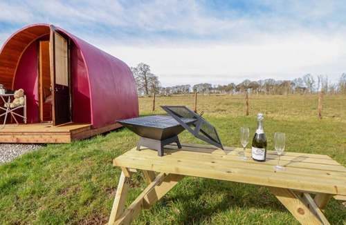 Saint Asaph House | Llannerch Glamping Pod 1, St Asaph