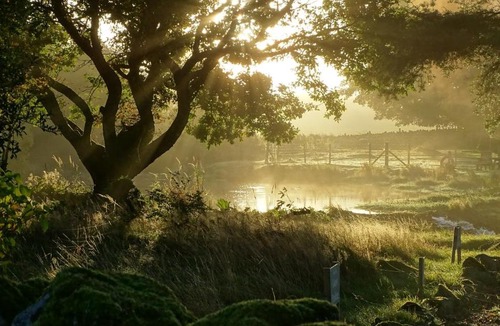 Rhydlydan Bed & Breakfast | Llwyn Onn Guest House
