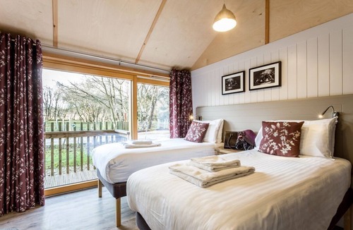 Corfe Castle Cabin | Lodge 16, Corfe Castle