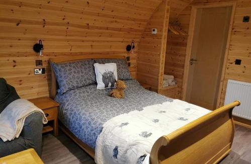 Llanelli House | Lodge 3