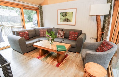 Corfe Castle Cabin | Lodge 6, Corfe Castle