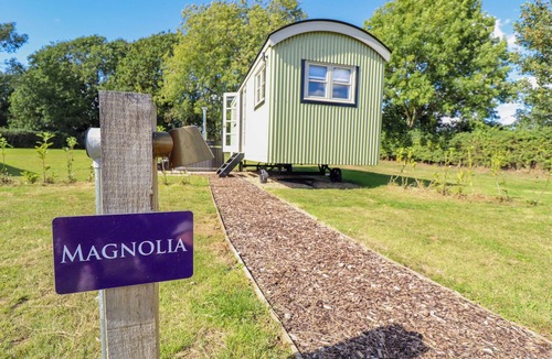 Ashby cum Fenby Cottage | Magnolia