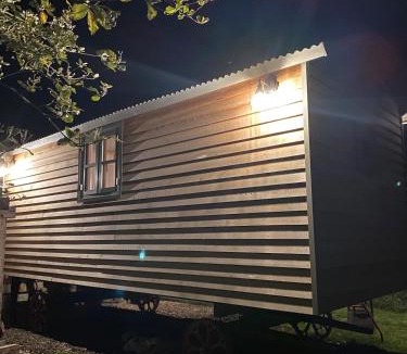 Goodwood Apartment | Meadow views Shepherd Hut at Goodwood!