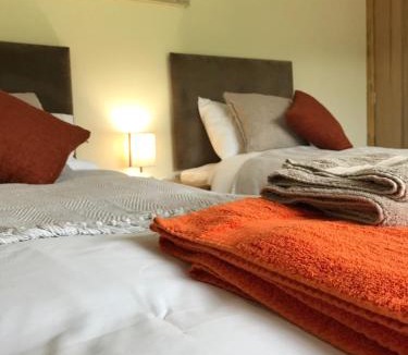 Machynlleth Bed & Breakfast | Moelfre B&B