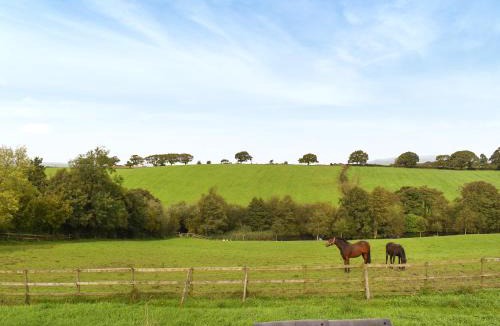 Fourstones Near Bentham House | Mount Cottage