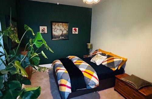 Rugby House | Murray Road