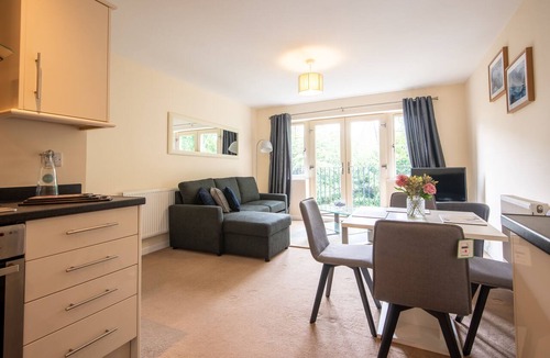 Mansfield Apartment | No18