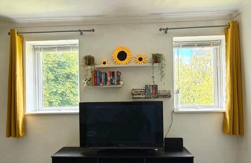 Carlisle Apartment | No23 - Bright & spacious 2nd floor flat - PET friendly