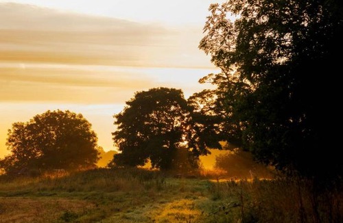 Nantwich House | Oak