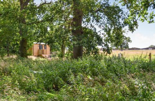 Irstead House | Oak - Ukc4846
