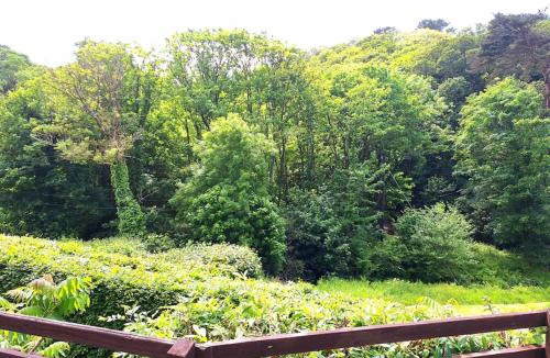 Saint Gennys House | Parada Cottage at Crackington Haven, near Bude and Boscastle, Cornwall