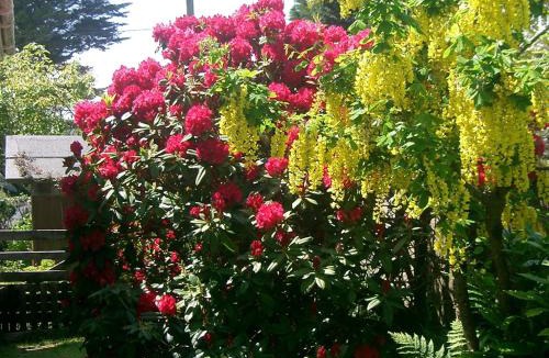 St. Teath Bed & Breakfast | Paths End