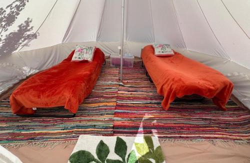 Charlton Other | Pear Tree Bell tent