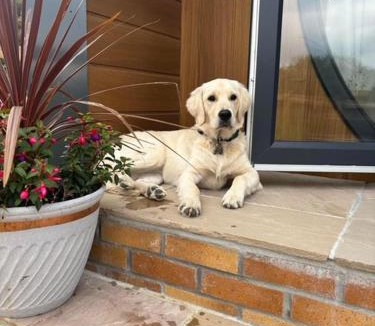 Holsworthy House | Pear Tree Pod with secluded outdoor bath - Dog Friendly