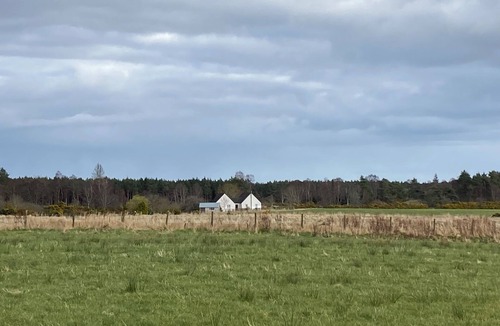Dornoch Apartment | Pet-friendly luxury garden apartment surrounded by woodland and fields.