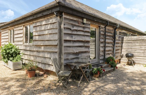 New Forest District Cottage | Pond View