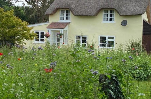 Holworth House | Primrose Cottage