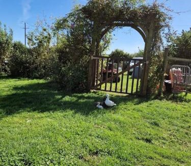 St. Martin Apartment | Puddle Duck Peeps Out Chalet