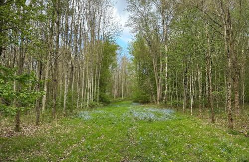 Swannington House | Robin Pod