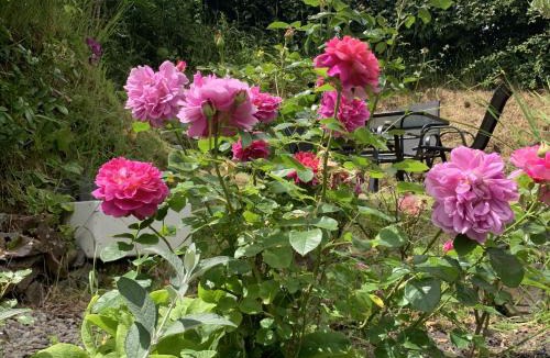 East Portlemouth House | Rose Cottage