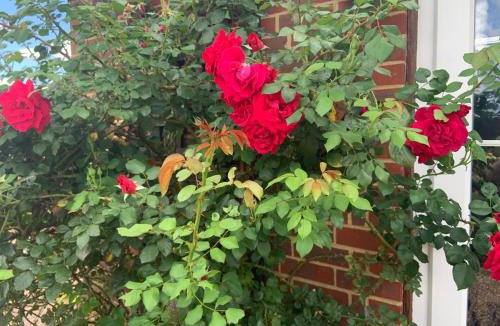 Iden House | Rose Cottage