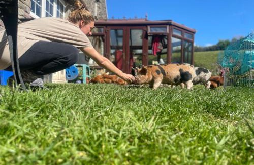 Marwood House | Ruby's Retreat! Farm Stay! North devon! Sleeps 6! Beaches Exmoor!