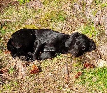 Strathcarron Bed & Breakfast | Sanachan