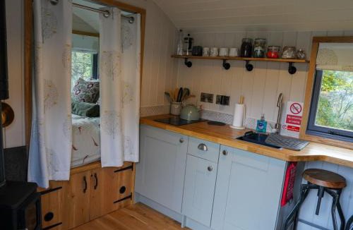 Hackness Ski Chalet | Shepherds hut, Eco, Log burner Hot tub NY moors