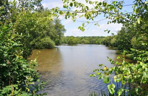 Bridgetown House | Silver Birch