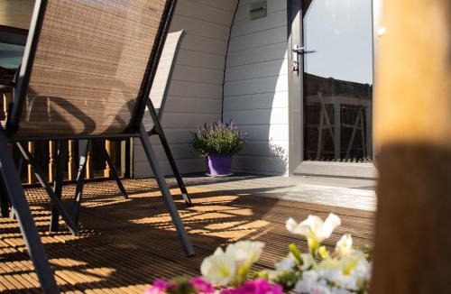 Cromer Other | Skylark - Pod