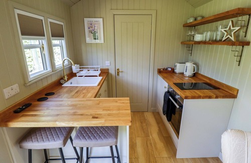 Ashby cum Fenby Cottage | Snowdrop