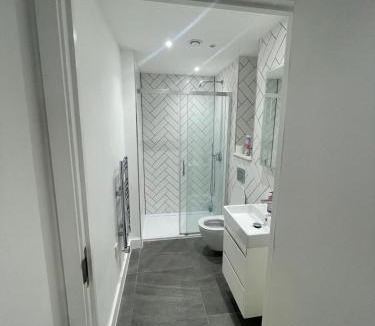 Slough Apartment | Spacious Flat for Professional
