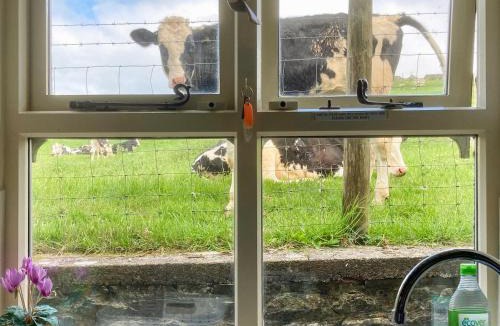 Austwick House | Spoutscroft Cottage