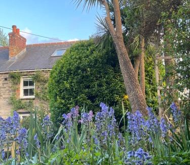 Egloshayle Bed & Breakfast | SPRING GARDENS B&B