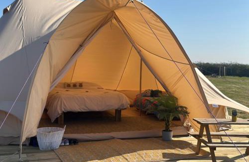 Barnstaple Other | Springfield glamping