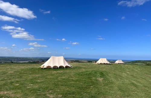 Barnstaple Other | Springfield glamping