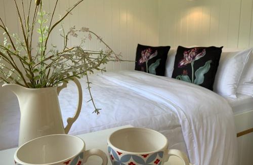Saint Kew Apartment | St. Kew Shepherd Huts
