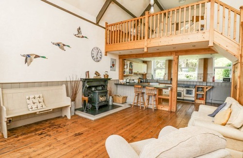 Llandrindod Wells Cottage | St. Marks School House, 2 dogs
